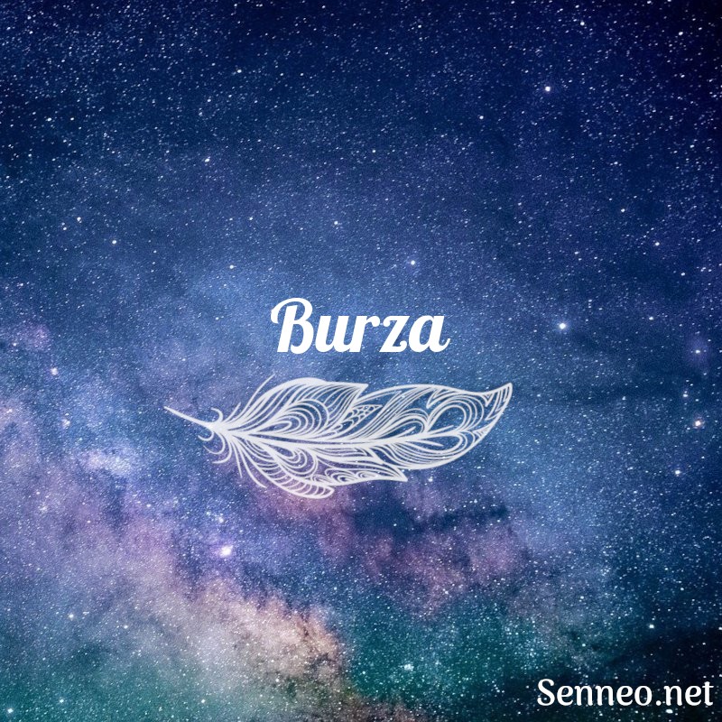 Burza