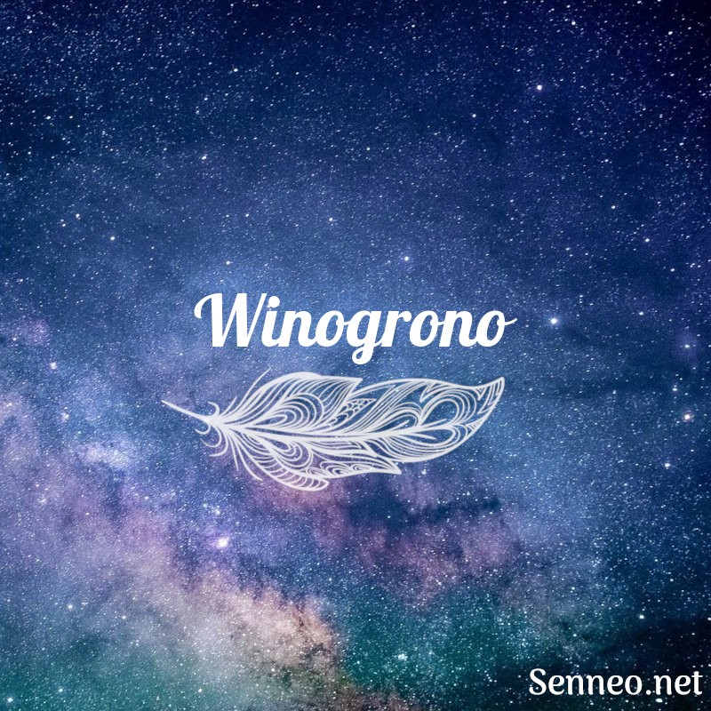 Winogrono